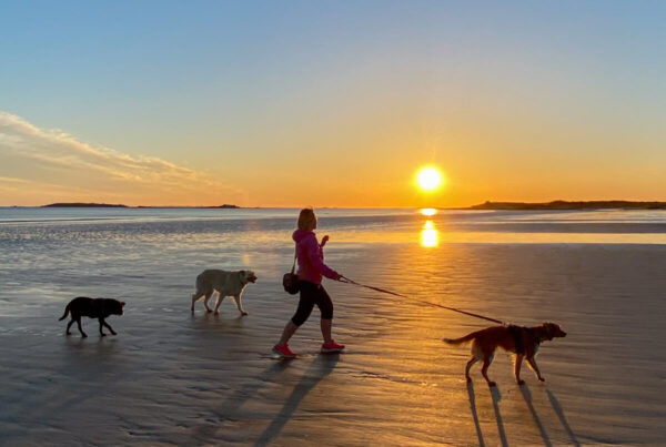 Bretagne mit dem Wohnmobil, Wohnmobil mit hund