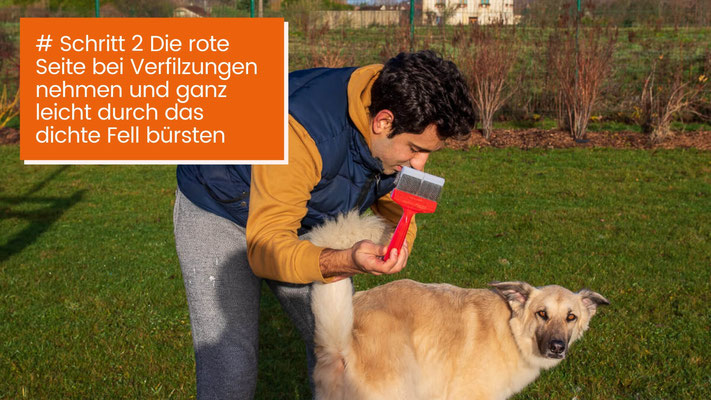 canisroad-ratgeber-hundewissen-schritte-19 Hunde Unterwolle schonend lösen - Schritt für Schritt Anleitung mit Canis Road - Schritt 2