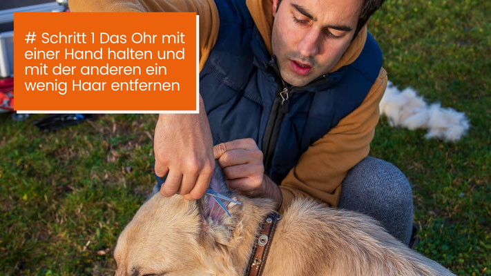 canisroad-ratgeber-hundewissen-schritte-5 Hunde Ballen Krallen und Ohren säubern - Schritt für Schritt Anleitung mit Canis Road - Schritt 1