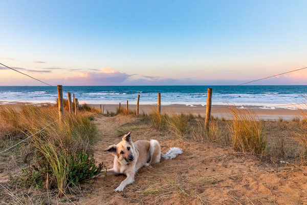 image_002 Canis Road Reiseführer - Wohnmobil Urlaub mit Hund Teil 4