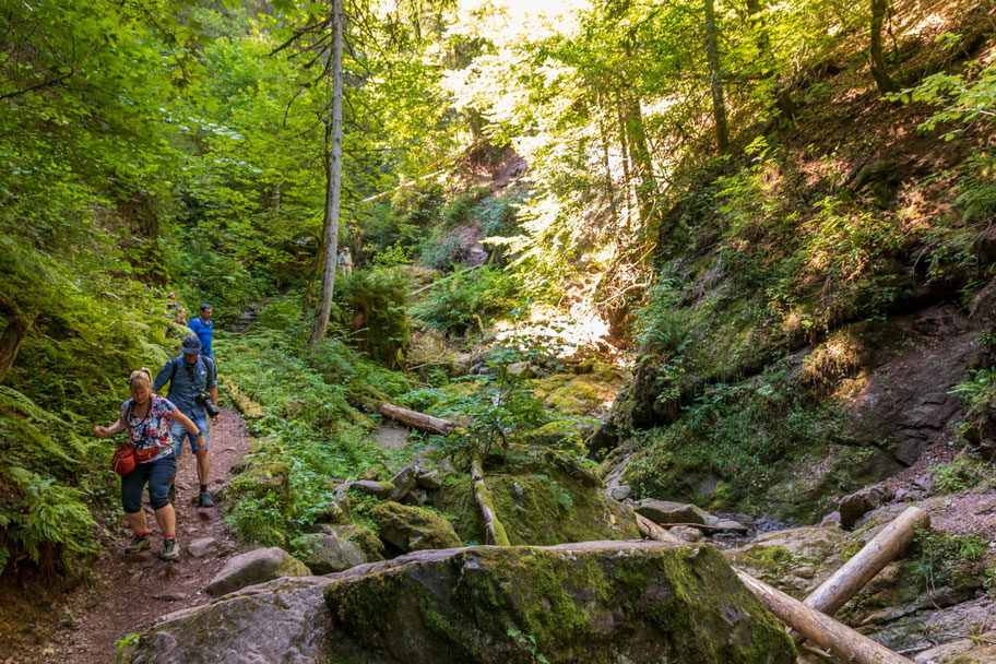 wutachschlucht-camping-mit-hund-schwarzwald-wandern-mit-_005 svg+xml;charset=utf