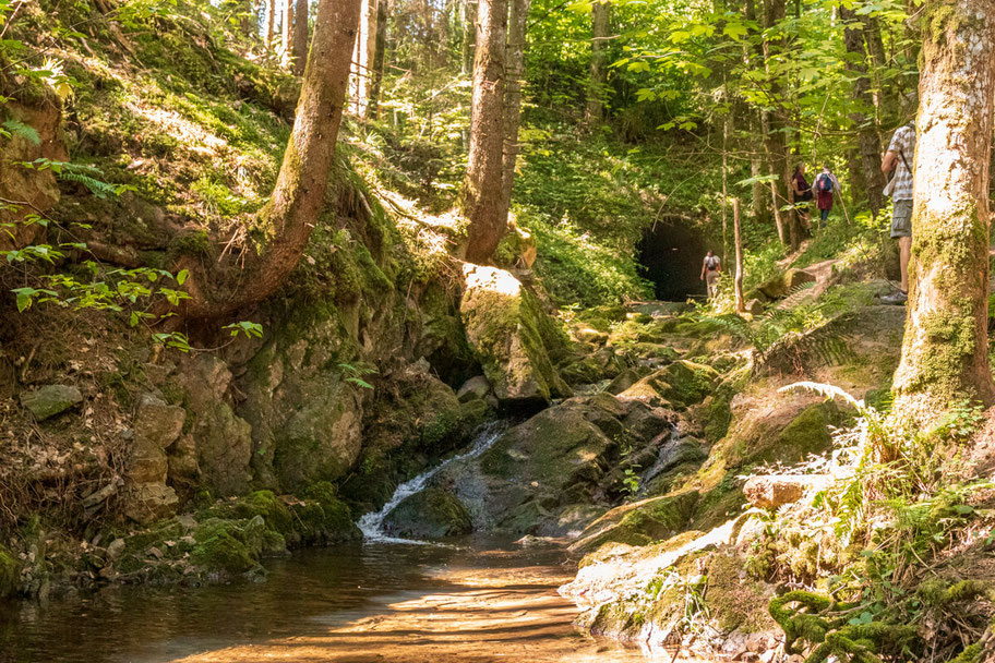 wutachschlucht-camping-mit-hund-schwarzwald-wandern-mit-_008 Canis Road Reiseführer - Wutachschlucht - Wandern mit Hund im Schwarzwald