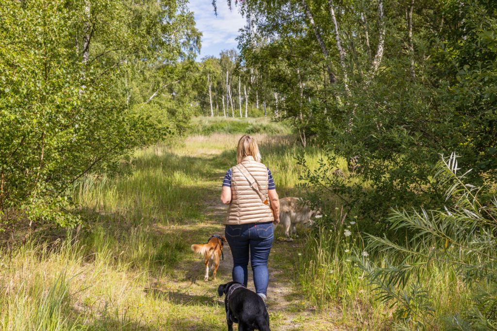 BX7A5554 Schweden mit dem Hund