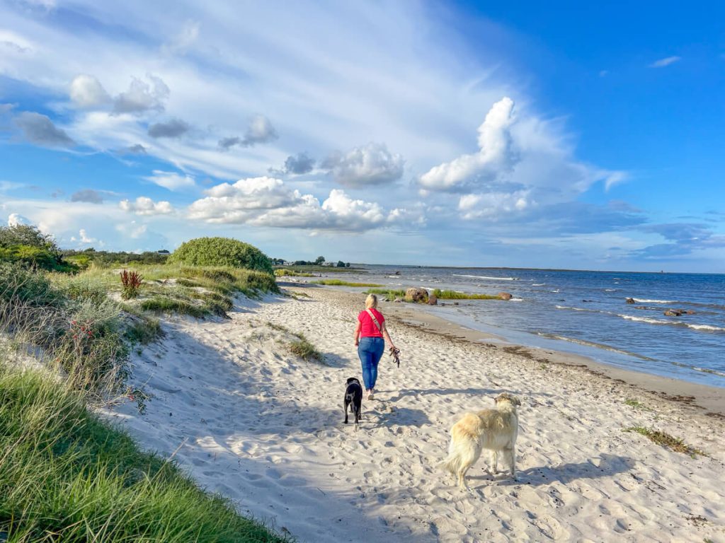 IMG_7528 Schweden mit dem Hund