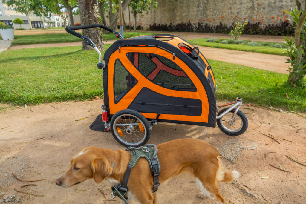 BX7A3230 Hundebuggy, Dogbus L, Trendpet, Küstenweg
