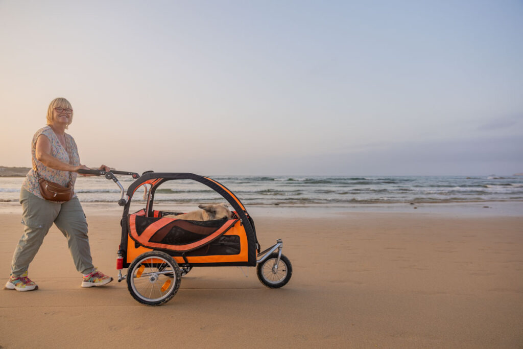 BX7A3284 Hundebuggy, Dogbus L, Trendpet, Strand