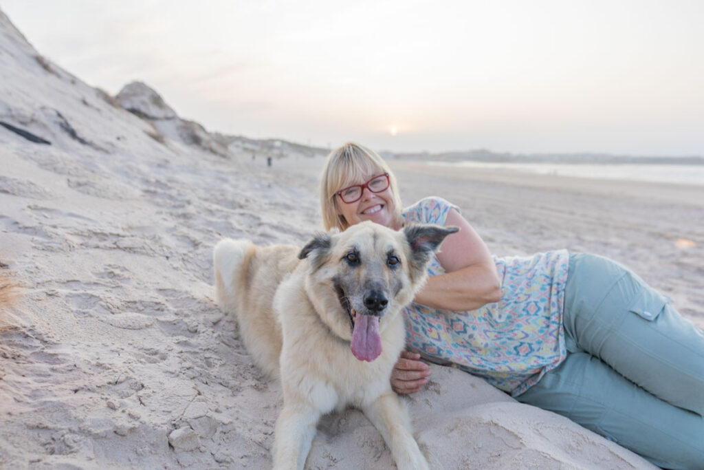 BX7A3332 Hundebuggy, Dogbus L, Trendpet, Strand