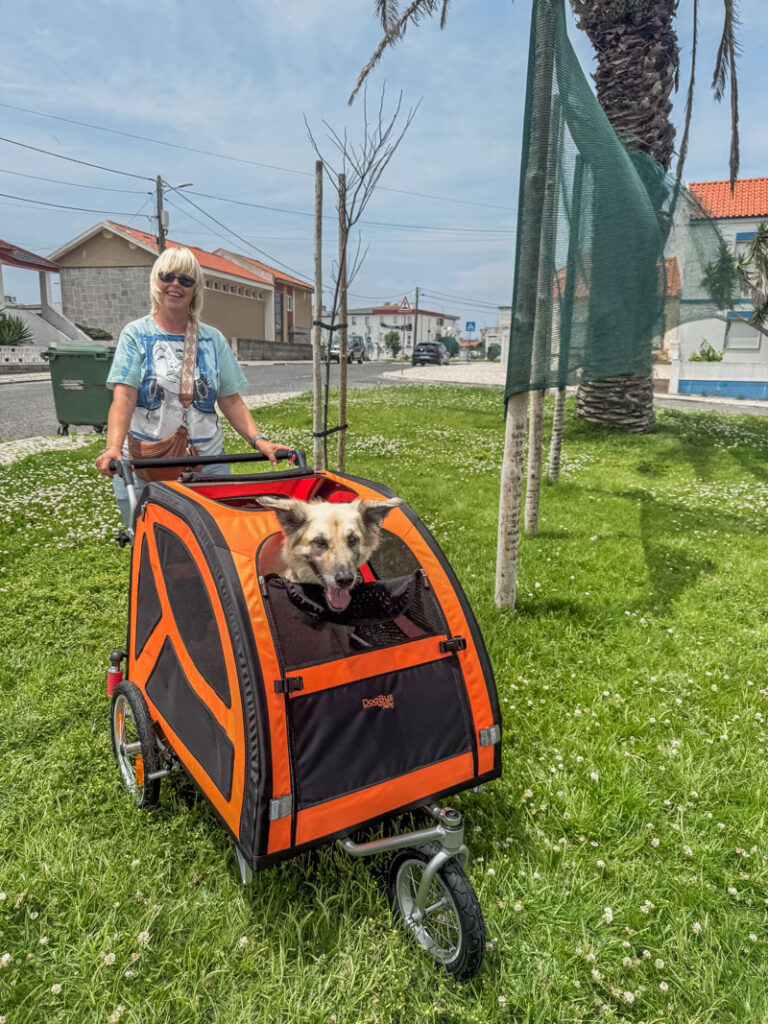 IMG_1753 Hundebuggy, Dogbus L, Trendpet,
