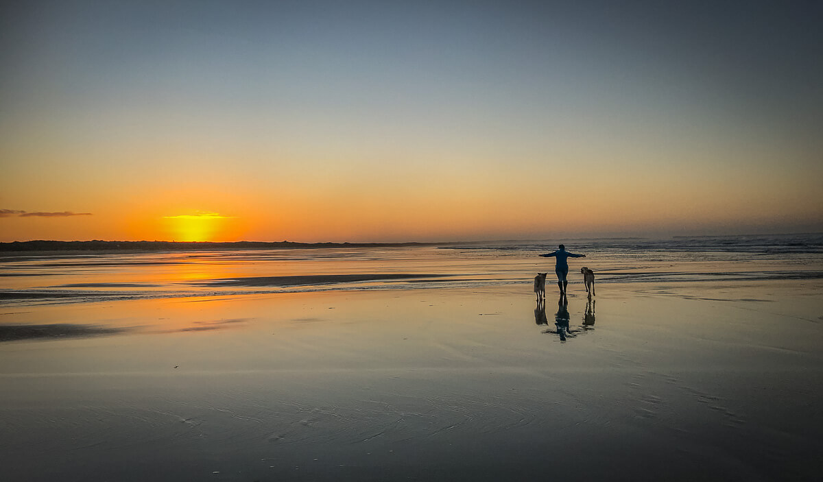 Spaziergang mit Hund am Atlantikstrand im Abendlicht