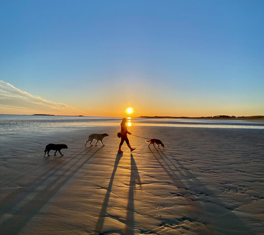Unterwegs mit dem Rudel am Strand